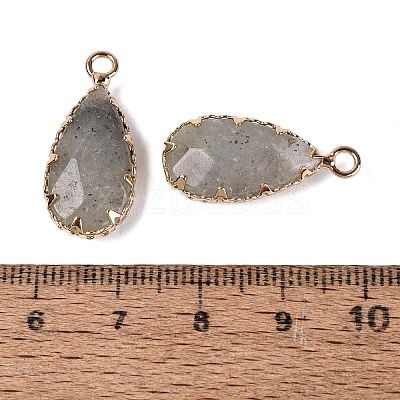 Natural Labradorite Faceted Pendants G-Q606-104G-04-1