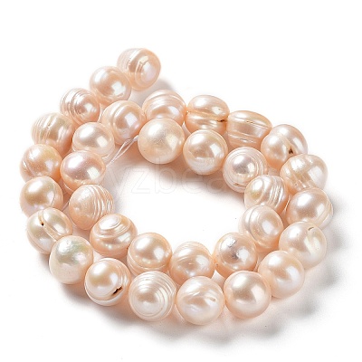 Natural Cultured Freshwater Pearl Beads Strands PEAR-E019-15-1