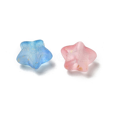 Frosted Acrylic Charms OACR-M023-04B-1