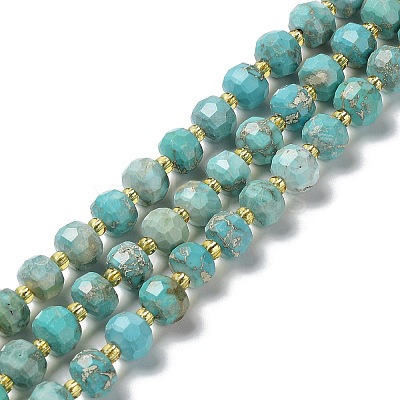 Natural Howlite Beads Strands G-E604-D01-A-1
