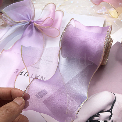 Organza Ribbon OHAR-PW0001-139G-1