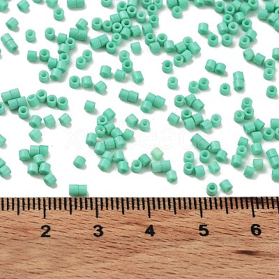 Baking Paint Glass Seed Beads X-SEED-S042-05B-60-1