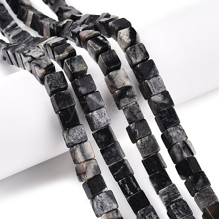 Natural Black Netstone Beads Strands G-T139-6x6-24A-1