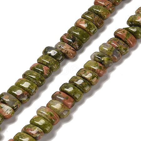 Natural Unakite Beads Strands G-Q167-B17-01-1