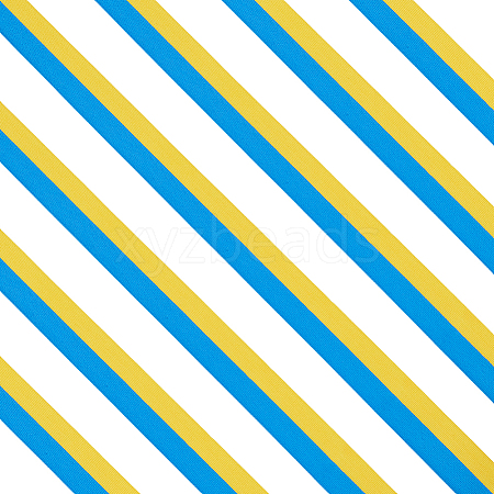 25 Yards Polyester Grosgrain Ribbon OCOR-PH0007-58B-1
