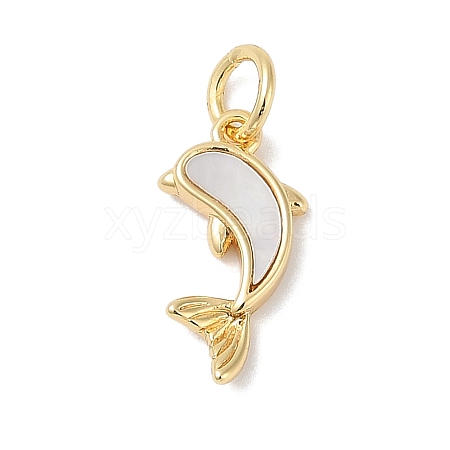 Brass with Shell Charms KK-Q030-06G-1