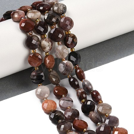 Natural Petrified Wood Beads Strands G-B094-A10-01-1