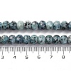 Natural Sesame Jasper Beads Strands G-K380-A18-01-5