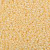 TOHO Round Seed Beads X-SEED-TR08-0903-2