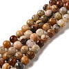 Natural Crazy Agate Round Bead Strands G-M272-03-6mm-1