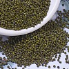 MIYUKI Round Rocailles Beads X-SEED-G007-RR4519-1