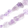 Natural Amethyst Beads Strands G-I283-E03-1