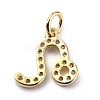 Brass Micro Pave Cubic Zirconia Charms ZIRC-F131-16G-06-2