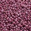 TOHO 6/0 Round Beads X-SEED-TR06-1202-4