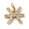 Brass Micro Pave Cubic Zirconia Charms ZIRC-F131-16G-12-1