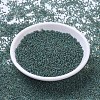 MIYUKI Round Rocailles Beads SEED-JP0008-RR4506-2