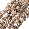 Natural Freshwater Shell Beads Strands X-SHEL-A006-05-1