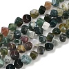 Natural Indian Agate Beads Strands G-A257-A12-01-2
