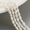 Natural Cultured Freshwater Pearl Beads Strands PEAR-P062-01D-2