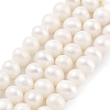 Natural Cultured Freshwater Pearl Beads Strands PEAR-C003-12E-1