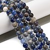 Natural Sodalite Beads Strands GSR6mmC013-1-2