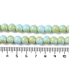 Baking Paint Glass Bead Strands GLAA-H031-01B-08-5