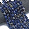 Natural Sodalite Beads Strands G-K389-D10-01-2