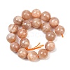 Natural Sunstone Beads Strands G-G342-A02-10.5mm-3