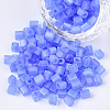 6/0 Transparent Glass Seed Beads X-SEED-S027-03B-06-1