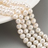 Natural Cultured Freshwater Pearl Beads Strands PEAR-C003-13F-2