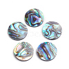 Natural Abalone Shell/Paua Shell Cabochons LS-SSHEL-L017-001-1