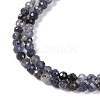 Natural Iolite Beads Strands LS-G-G139-A11-03-4