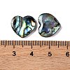 Natural Paua Shell Epoxy Resin Cabochons SSHEL-S279-01D-3