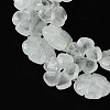 Natural Quartz Crystal Beads Strands G-H023-B17-01-4