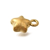 304 Stainless Steel Charms X-STAS-D310-06G-05-2