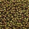 TOHO 6/0 Round Beads X-SEED-TR06-1209-3