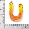 Resin Pendant FIND-Q107-01U-01-3