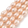 Natural Cultured Freshwater Pearl Beads Strands PEAR-P062-08F-2