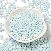 6/0 Glass Seed Beads SEED-M012-01A-12-2