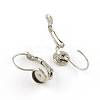 Smooth Surface 304 Stainless Steel Leverback Earring Findings X-STAS-R065-63-1