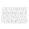 Silicone Pendant Molds LS-SENE-M003-04B-2