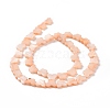 Natural Freshwater Shell Beads Strands SHEL-H002-02-5