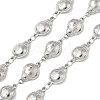 304 Stainless Steel Insects Link Chains CHS-U004-01B-P-1