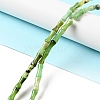 Natural Chrysoprase Beads Strands G-E071-B03-2