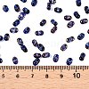 Picasso Spray Painted Glass Seed Beads SEED-T006-04-9-4