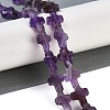 Natural Amethyst Beads Strands G-I369-A23-02-2