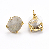 Natural Labradorite Stud Earrings EJEW-L196-04B-2