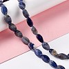 Natural Sodalite Beads Strands G-L243B-18-2