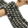 Natural Green Wood Lace Stone Wooden Jasper Beads Strands G-Z111-A15-02-1