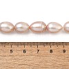 Natural Cultured Freshwater Pearl Beads Strands PEAR-I007-01E-06C-5